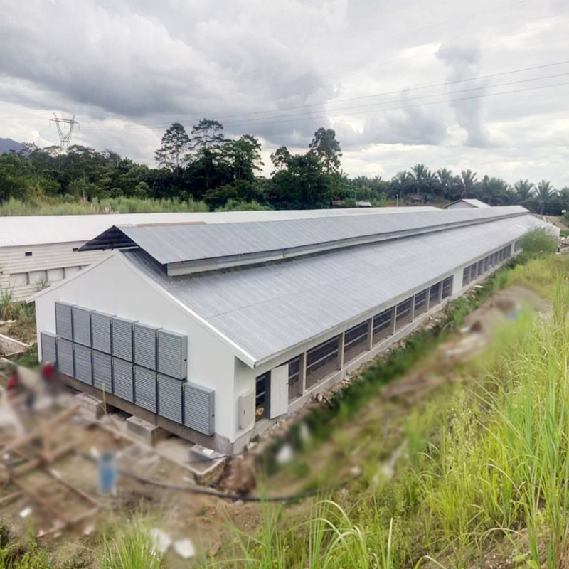 Abri de poulet à griller à structure métallique légère 