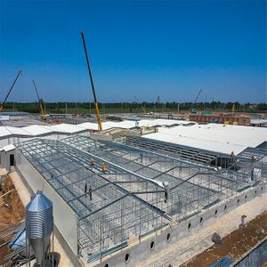 Structure en acier Hangar à porcs Élevage Construction d'élevage