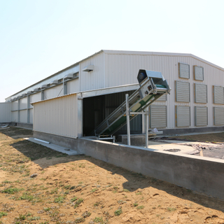 Construction de maison de couche de structure en acier