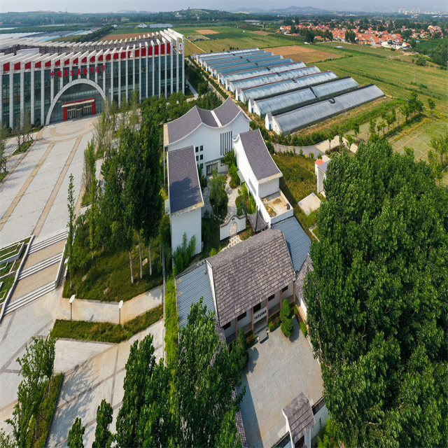 Maison de structure en acier préfabriquée avec une belle forme